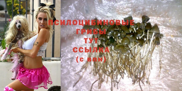 прущий лед Абаза