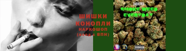 прущий лед Абаза