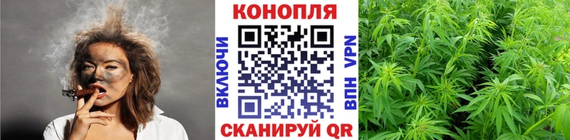 Канабис OG Kush  Красный Сулин 